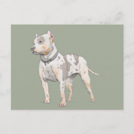 Postal Esbozo de acuarela | Perro de Cute Pit Bull Terrie