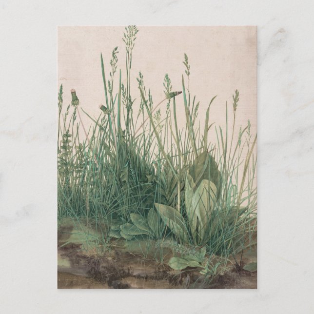 Postal Esbozo de Albrecht Durer (Anverso)