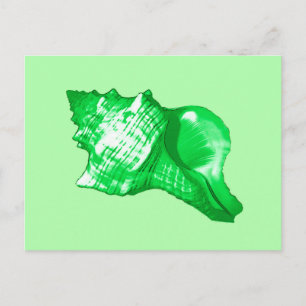 Postal Esbozo de concha de concha - verde esmeralda y lim