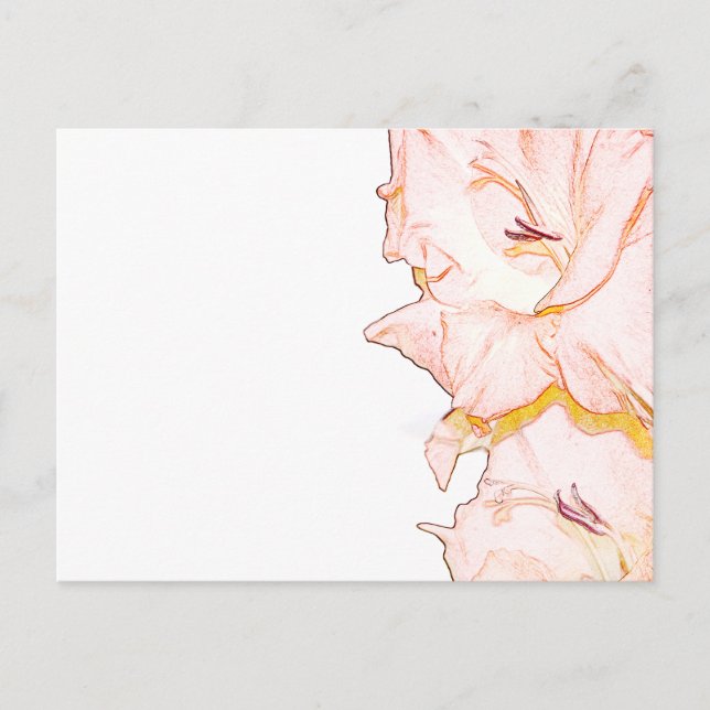 Postal Esbozo de Gladiolus (Anverso)