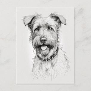 Postal Esbozo de lápiz de retrato de Schnauzer