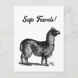 Postal Esbozo de Llama encantador, dibujo de tinta animal