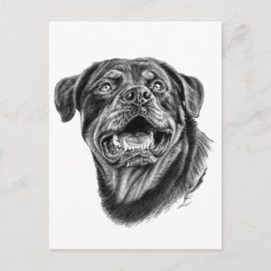 Postal Esbozo de Rottweiler