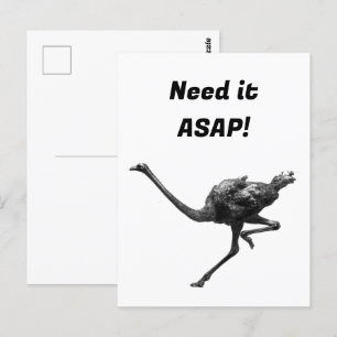 Postal Esbozo de tinta de avestruz en funcionamiento, art