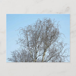 Postal Esbozo de tinta de ramas de árbol