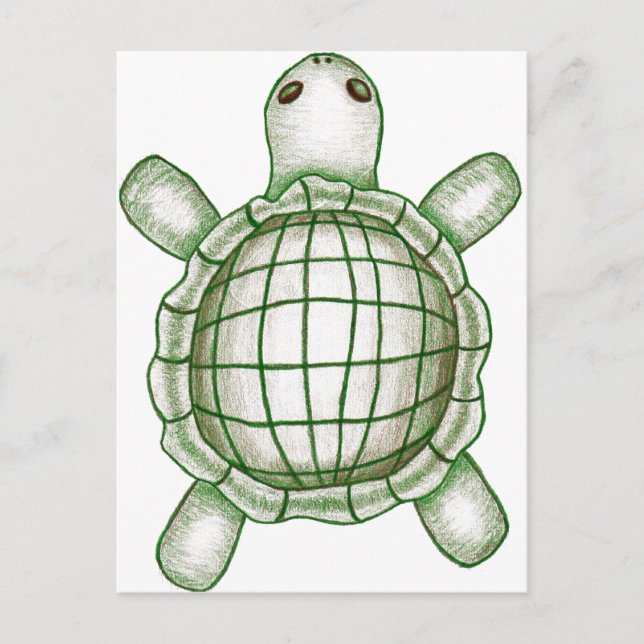 Postal Esbozo de tortuga (Anverso)