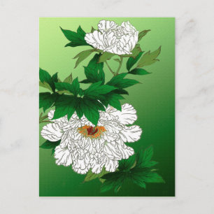 Postal Esbozo japonés vintage de una gran peonía blanca