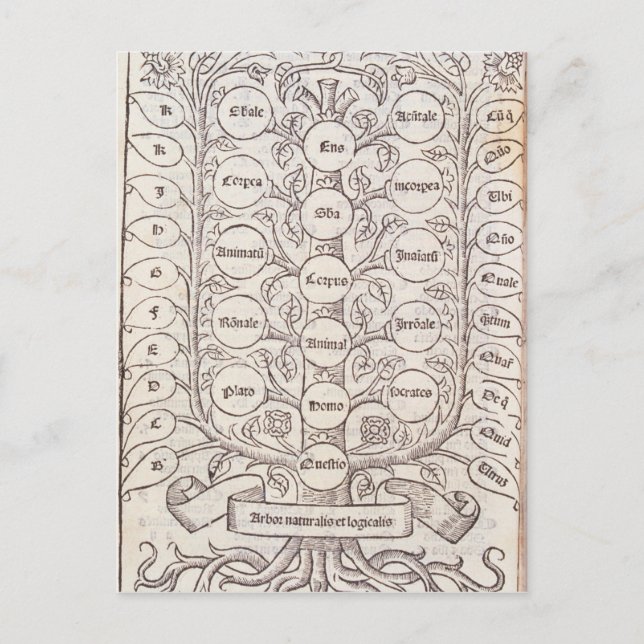 Postal Escala celeste (Anverso)