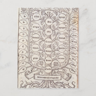 Postal Escala celeste