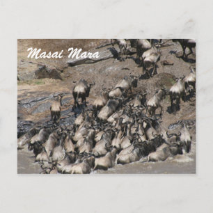 Postal escalada de ñus