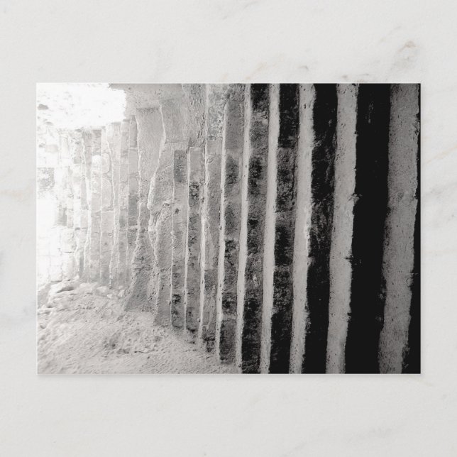 Postal Escalera de fotografías de paisajes blancos y negr (Anverso)