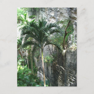 Postal Escalera de Reina