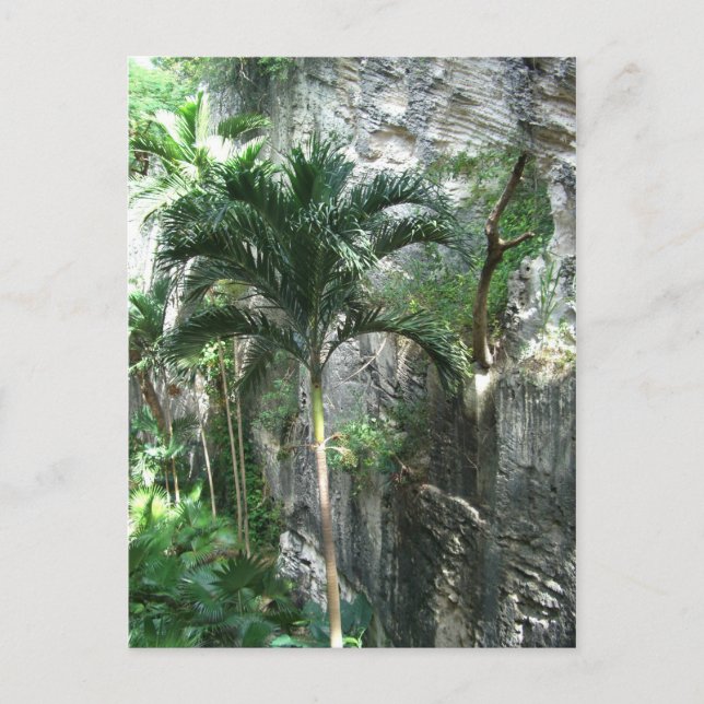 Postal Escalera de Reina (Anverso)