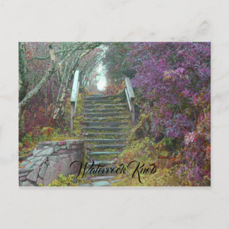 Postal Escaleras de montaña a Waterrock Knob, Waynesville