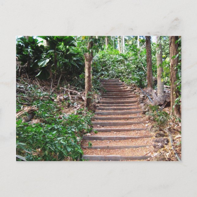 Postal Escaleras en su hábitat natural (Anverso)