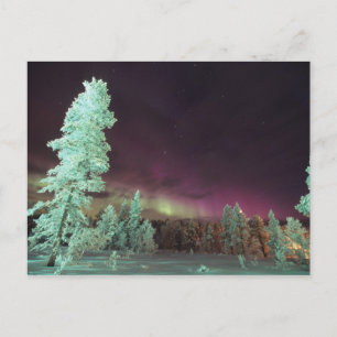 Postal Escandinavia, Finlandia, Laponia, Kakslauttanen,