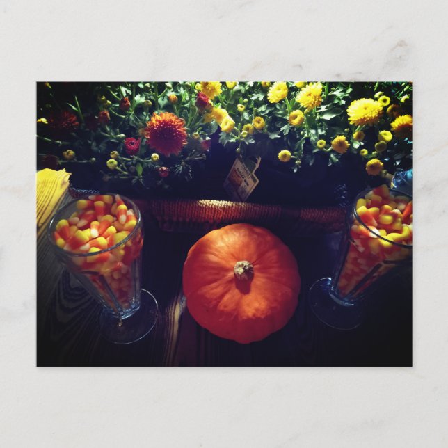 Postal Escaparate de calabaza de maíz de caramelo y crisa (Anverso)