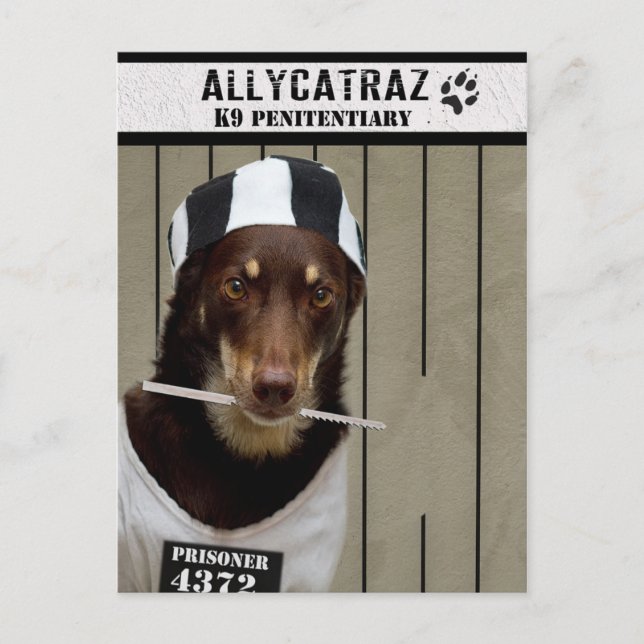 Postal Escape de Allycatraz (Anverso)