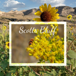 Postal Escarabajo en vara de oro, Scotts Bluff, Gering, N