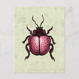 Postal Escarabajo Rosa Cute Bug Art - Amante de los insec