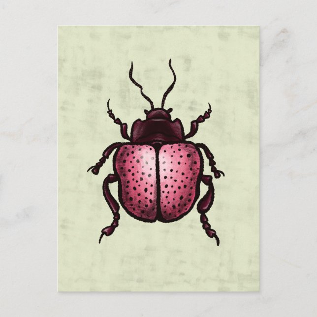 Postal Escarabajo Rosa Cute Bug Art - Amante de los insec (Anverso)