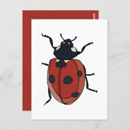 Postal Escarabajos insectos Ladybug