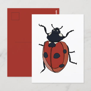 Postal Escarabajos insectos Ladybug