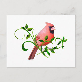 Postal Escarlata