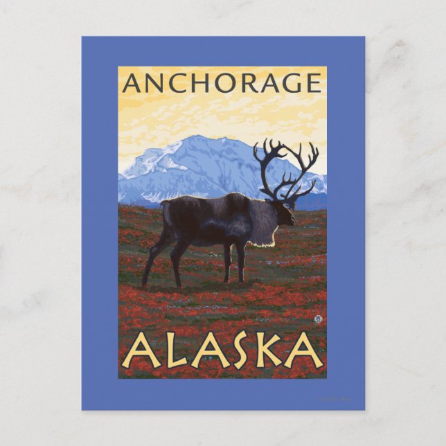 Postal Escena Caribou - Anchorage, Alaska (Anverso)