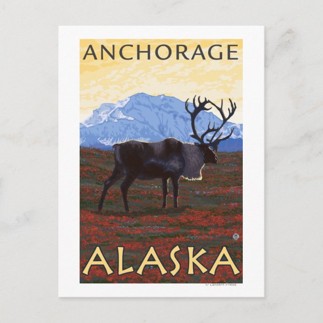Postal Escena Caribou - Anchorage, Alaska (Anverso)