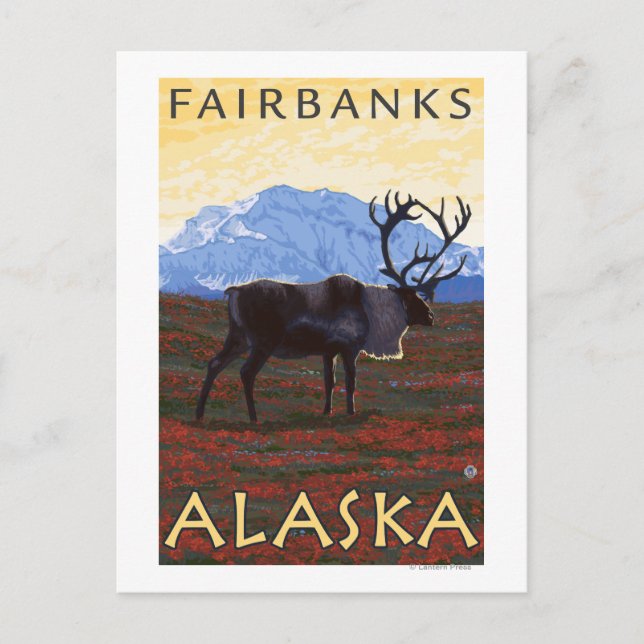 Postal Escena Caribou - Fairbanks, Alaska (Anverso)