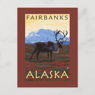 Postal Escena Caribou - Fairbanks, Alaska