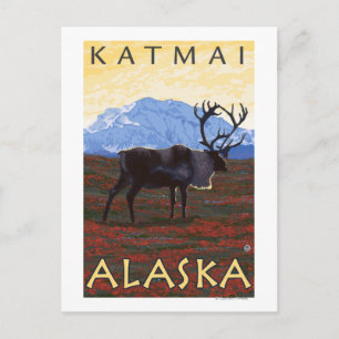 Postal Escena Caribou - Katmai, Alaska