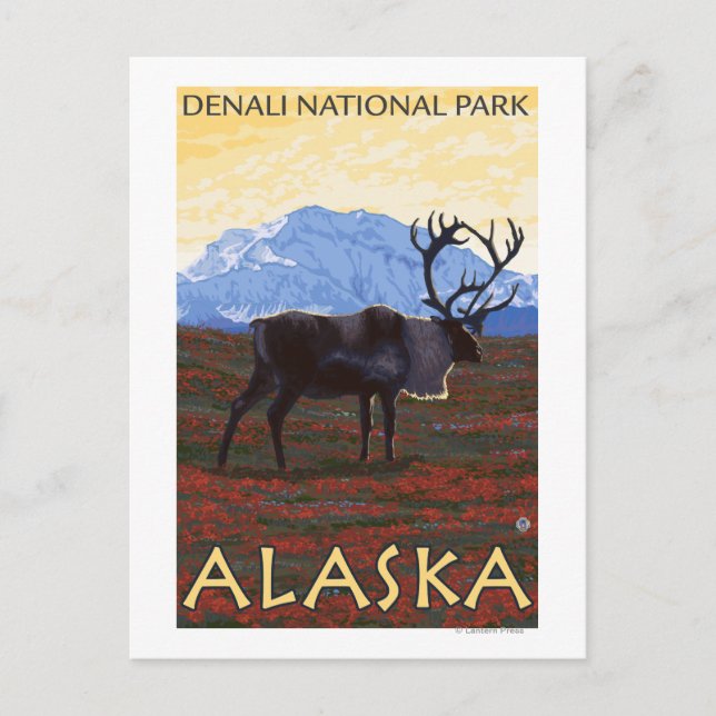 Postal Escena Caribou - Parque Nacional Denali, Alaska (Anverso)