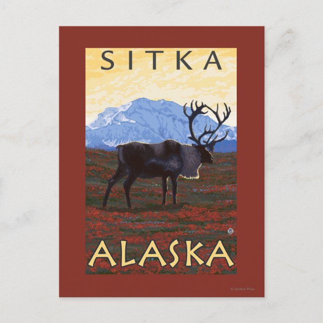 Postal Escena Caribou - Sitka, Alaska (Anverso)