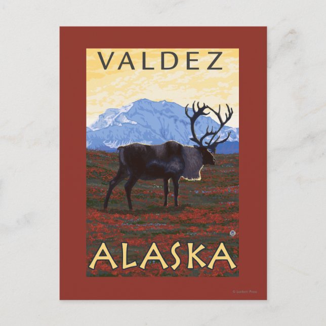 Postal Escena Caribou - Valdez, Alaska (Anverso)