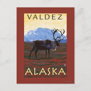 Postal Escena Caribou - Valdez, Alaska
