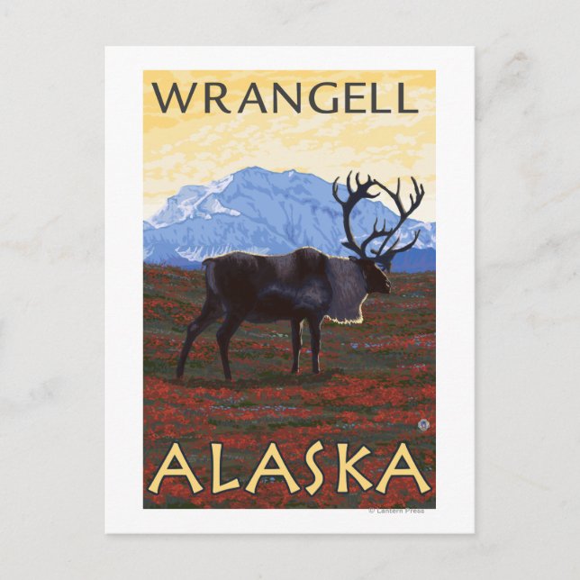 Postal Escena Caribou - Wrangell, Alaska (Anverso)