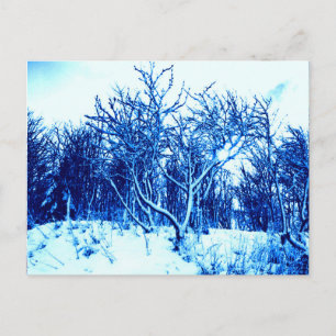Postal Escena de árboles y nieve, azul cobalto