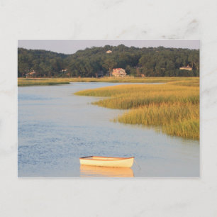 Postal Escena de bacalao del Cabo, río Pamet, Truro