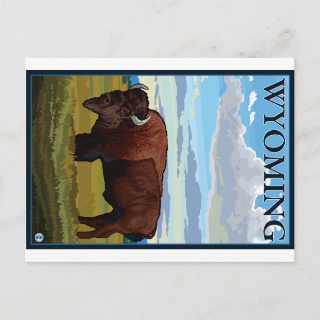 Postal Escena de Bison - Wyoming (Anverso)