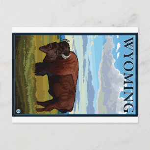 Postal Escena de Bison - Wyoming