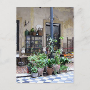 Postal Escena de Buenos Aires con plantas verdes en el pa