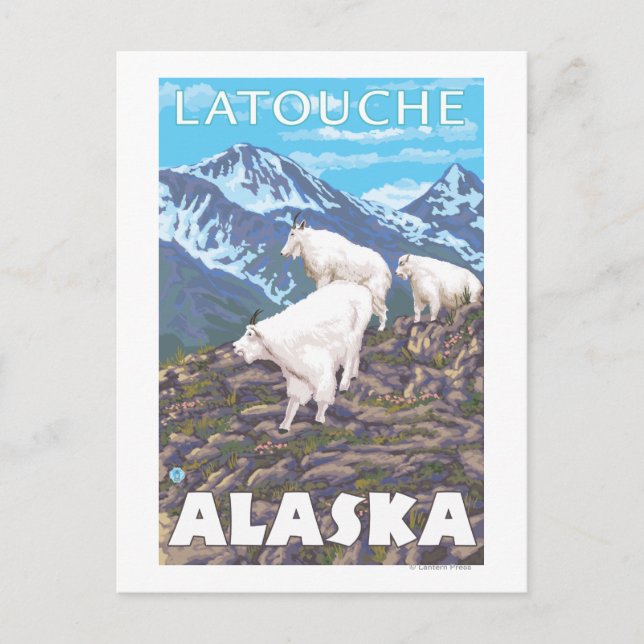 Postal Escena de cabras de montaña - Latouche, Alaska (Anverso)