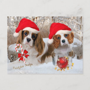 Postal Escena de Cavalier King Charles Snow