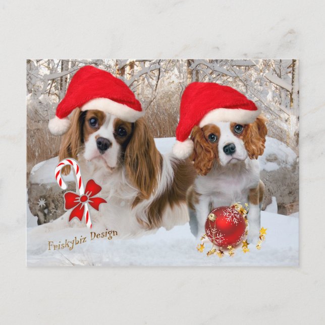 Postal Escena de Cavalier King Charles Snow (Anverso)