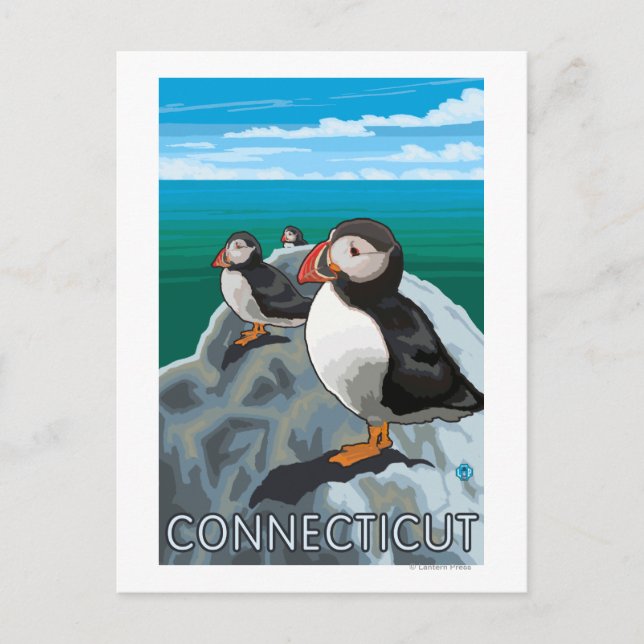 Postal Escena de ConnecticutPuffins (Anverso)