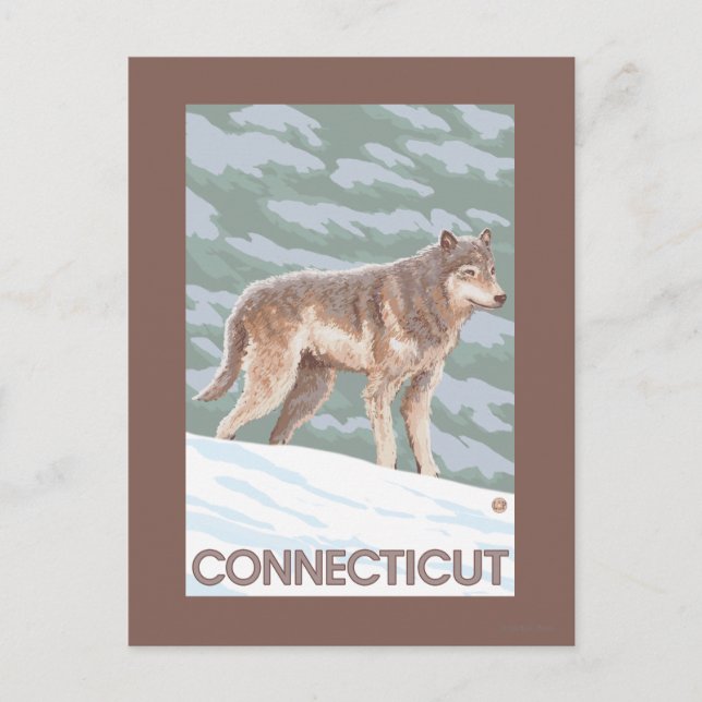 Postal Escena de ConnecticutWolf (Anverso)