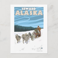 Escena de duelo de perro - Seward, Alaska