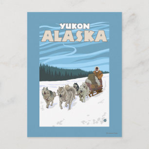 Postal Escena de duelo de perro - Yukón, Alaska